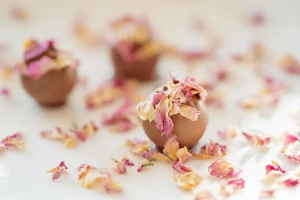 88Goals Casino Aip Android/iOS